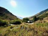 384 Race Creek Road - Photo 3