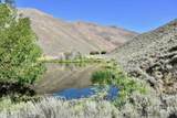 TBD Slaughterhouse Creek - Photo 41