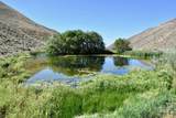 TBD Slaughterhouse Creek - Photo 42