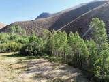TBD Slaughterhouse Creek - Photo 47
