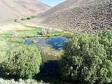 TBD Slaughterhouse Creek - Photo 48