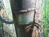 38 Deadmans Gulch Rd - Photo 20