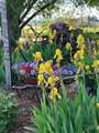 9221 Brill Road - Photo 43