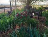 9221 Brill Road - Photo 44