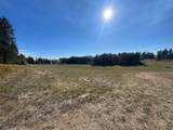181 Harris Ridge Loop - Photo 10