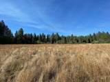 181 Harris Ridge Loop - Photo 11