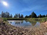 181 Harris Ridge Loop - Photo 12
