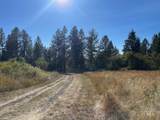 181 Harris Ridge Loop - Photo 13