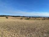 181 Harris Ridge Loop - Photo 16