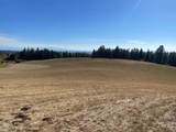 181 Harris Ridge Loop - Photo 17