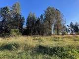 181 Harris Ridge Loop - Photo 41