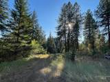 181 Harris Ridge Loop - Photo 44