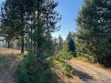 181 Harris Ridge Loop - Photo 47