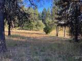 181 Harris Ridge Loop - Photo 48