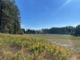 181 Harris Ridge Loop - Photo 9