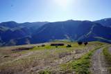 703 Whitewater Wilderness Drive - Photo 20