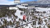 881 Roseberry Rd - Photo 4