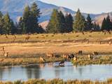  Ne Little Camas Reservoir Road - Photo 11