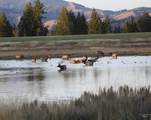  Ne Little Camas Reservoir Road - Photo 12