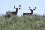  Ne Little Camas Reservoir Road - Photo 25
