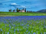  Ne Little Camas Reservoir Road - Photo 3