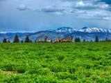  Ne Little Camas Reservoir Road - Photo 5