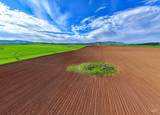  Ne Little Camas Reservoir Road - Photo 6