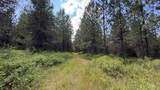 Parcel 19 Band Mill Loop Rd - Photo 11