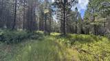 Parcel 19 Band Mill Loop Rd - Photo 14