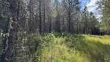 Parcel 19 Band Mill Loop Rd - Photo 16