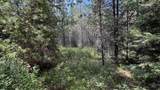 Parcel 19 Band Mill Loop Rd - Photo 19