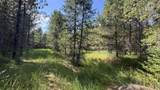 Parcel 19 Band Mill Loop Rd - Photo 29