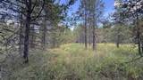 Parcel 19 Band Mill Loop Rd - Photo 33
