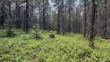 Parcel 19 Band Mill Loop Rd - Photo 37