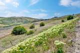 TBD County Bypass Rd - Photo 21