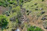 TBD County Bypass Rd - Photo 28