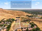 258 Burgundy Rose Lane - Photo 12
