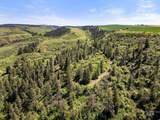 37607 Webb Ridge Road - Photo 1