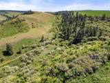 37607 Webb Ridge Road - Photo 10