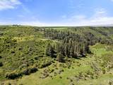 37607 Webb Ridge Road - Photo 2