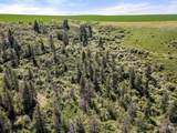 37607 Webb Ridge Road - Photo 32