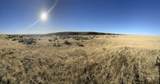 TBD Blacks Creek Rd. - Photo 3