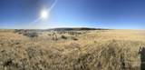 TBD Blacks Creek Rd. - Photo 4