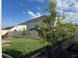 12362 Amorica St - Photo 28