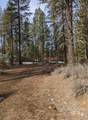 TBD View Drive - Photo 6