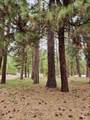 TBD Trinity Creek Road - Photo 4
