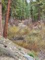 TBD Trinity Creek Road - Photo 8