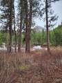TBD Trinity Creek Road - Photo 9