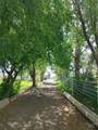6252 King Hill Canal Road - Photo 11