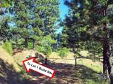 Lots 1 & 2 Wilderness Ridge Rd - Photo 13